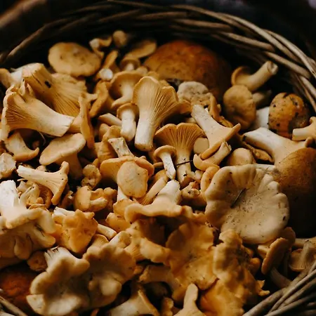 Casa Soltero 乡村民宿 *